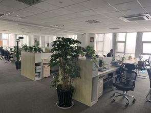 纺织印染ERP生产管理软件 驱动染厂智能升级与高效运营的核心引擎